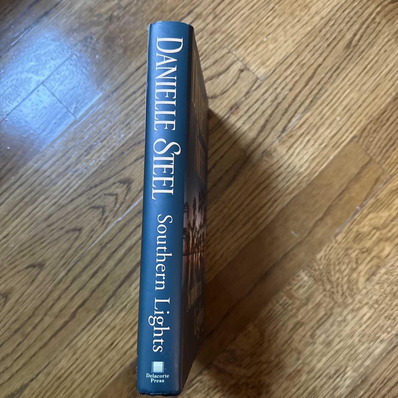 Southern Lights by Danielle Steel (2009, Hardcover)