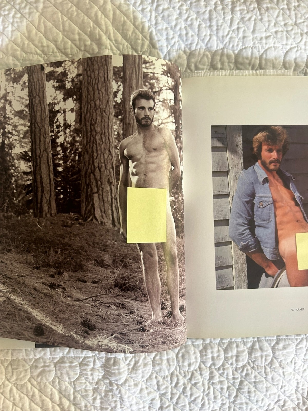 Colt 40 – John Rutherford