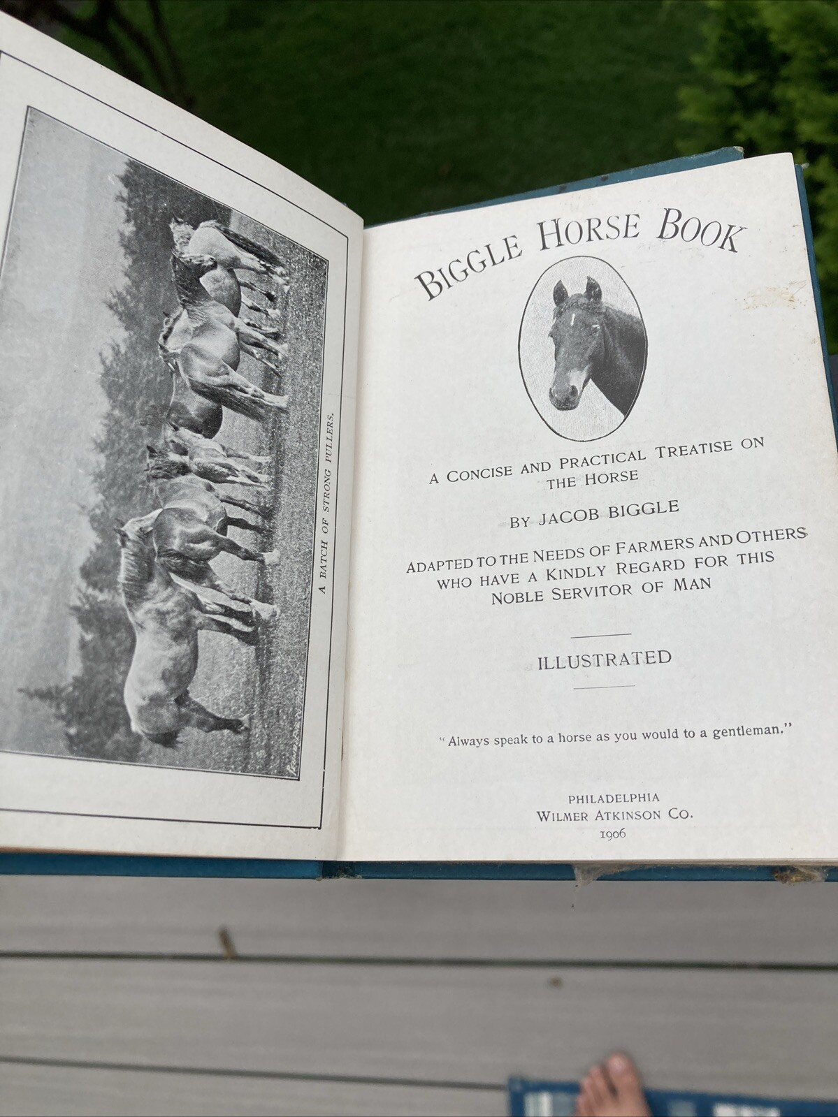 VTG Lot of 4 Biggle Farm Books Horse 1906 +Berry 1911 + Orchard 1908 & Garden