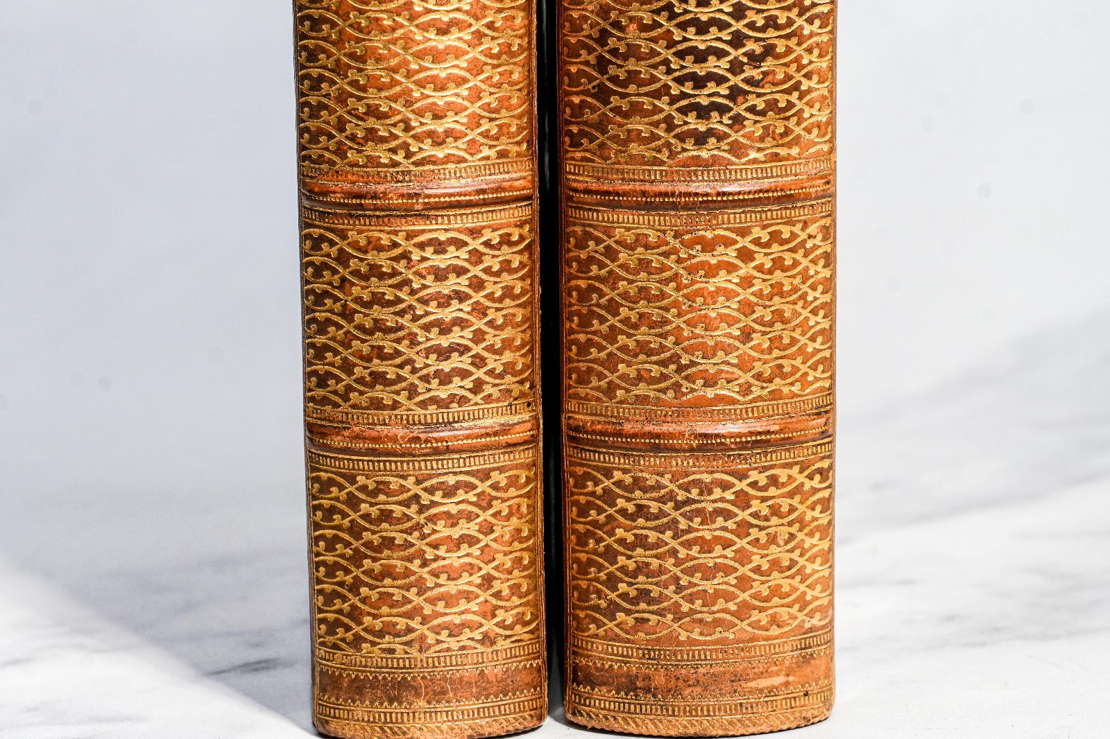 Life and Death John Barneveld Holland John Motely Full Leather Antique Books