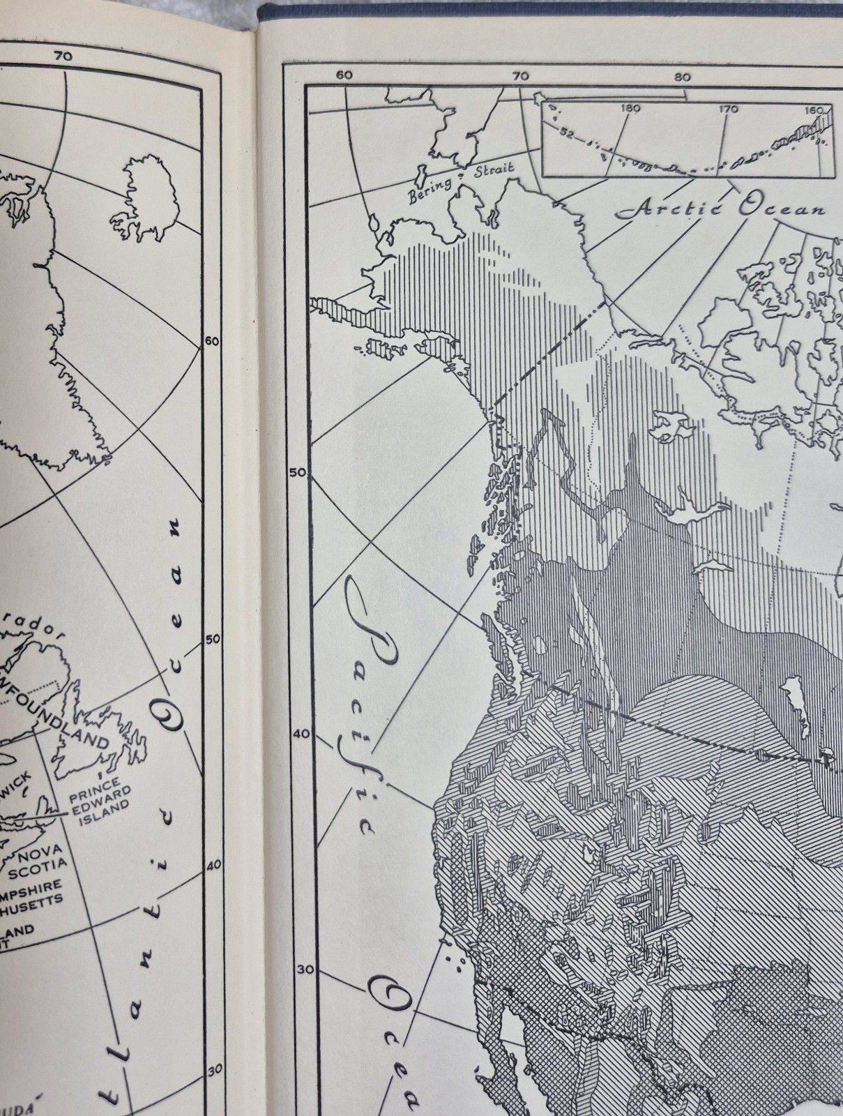The Mammals of North America (Hall & Kelson • 2‑Volume Set)