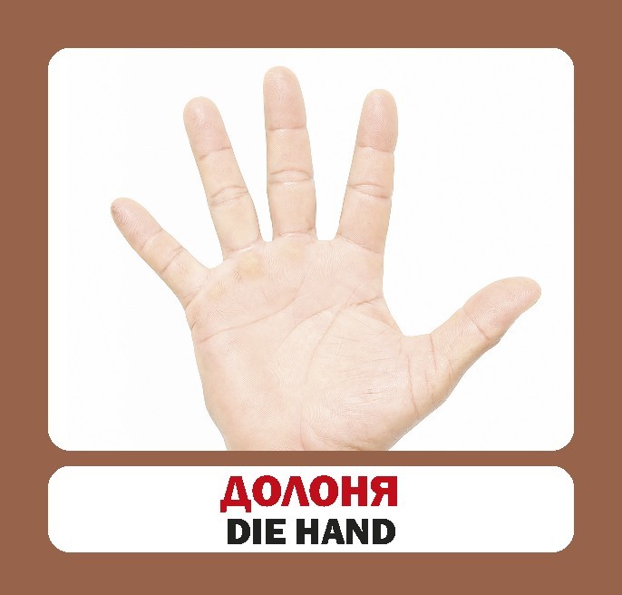 Book In Ukrainian Частини тіла Author not specified Body Parts