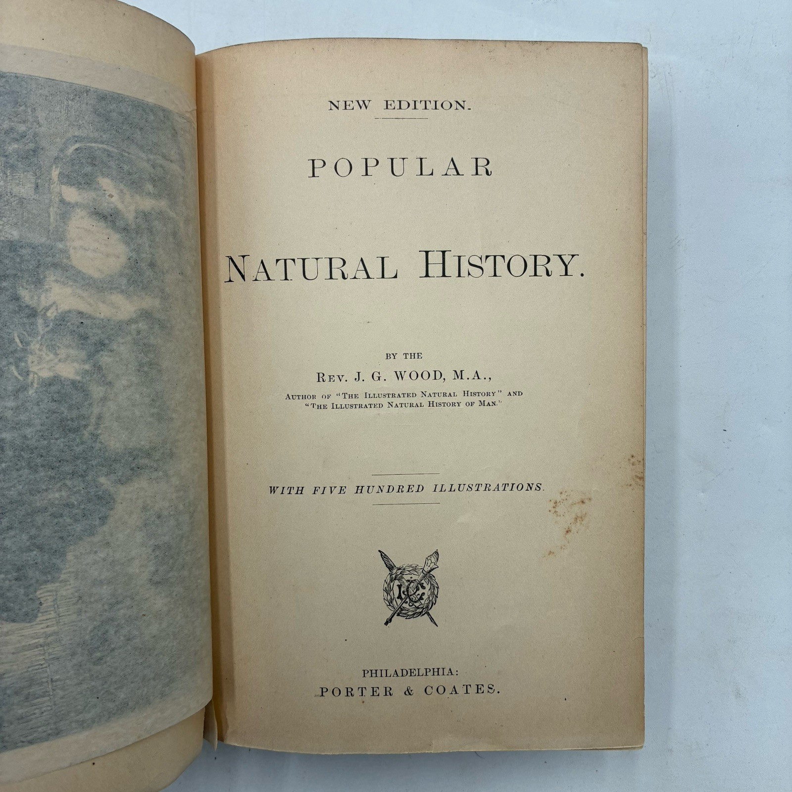 1885 Popular Natural History Rev. J.G. Wood Illustrated Porter & Coates Animals