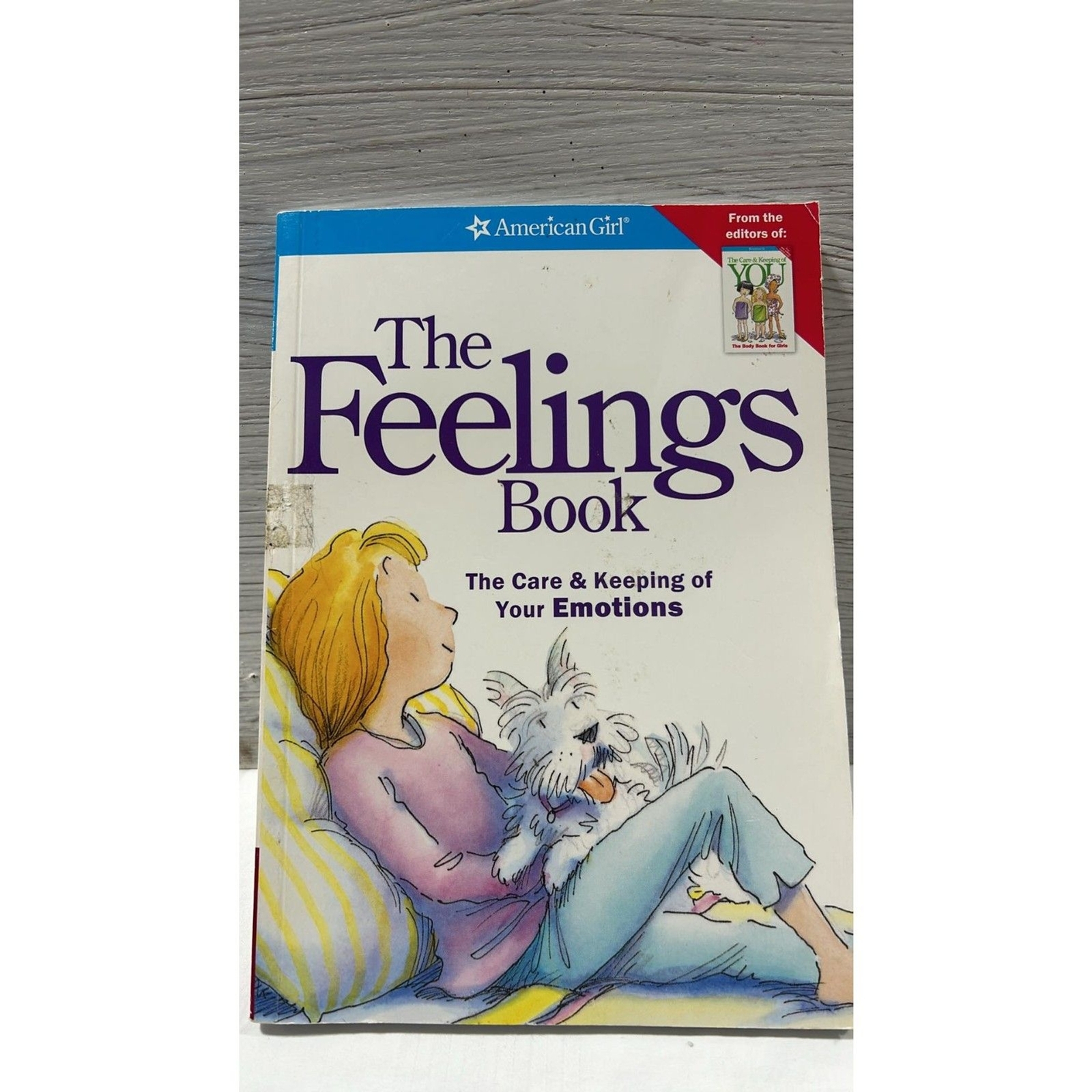 The Feeling Book The Care and Keeping of Your Emotions Paperback Lynda Madison