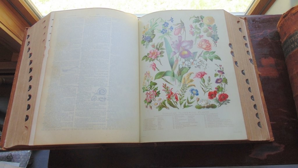 1901 Funk & Wagnalls Standard Dictionary