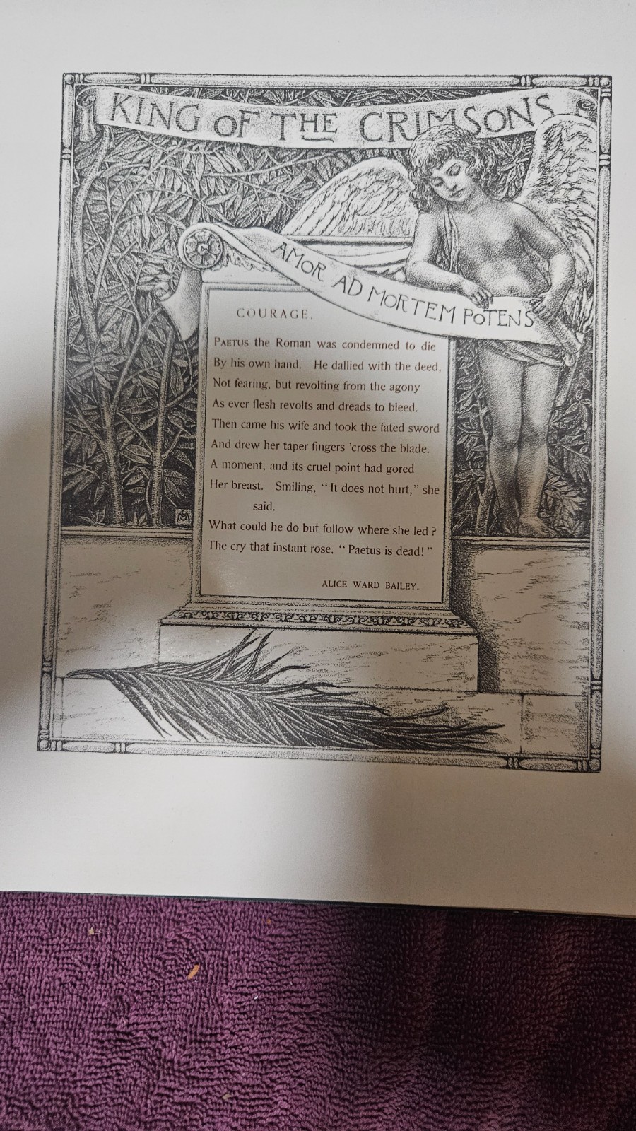 ‡ 🌷 Golden Flower Chrysanthemum • 1890 Rare Lithographs and Verses by Matthews