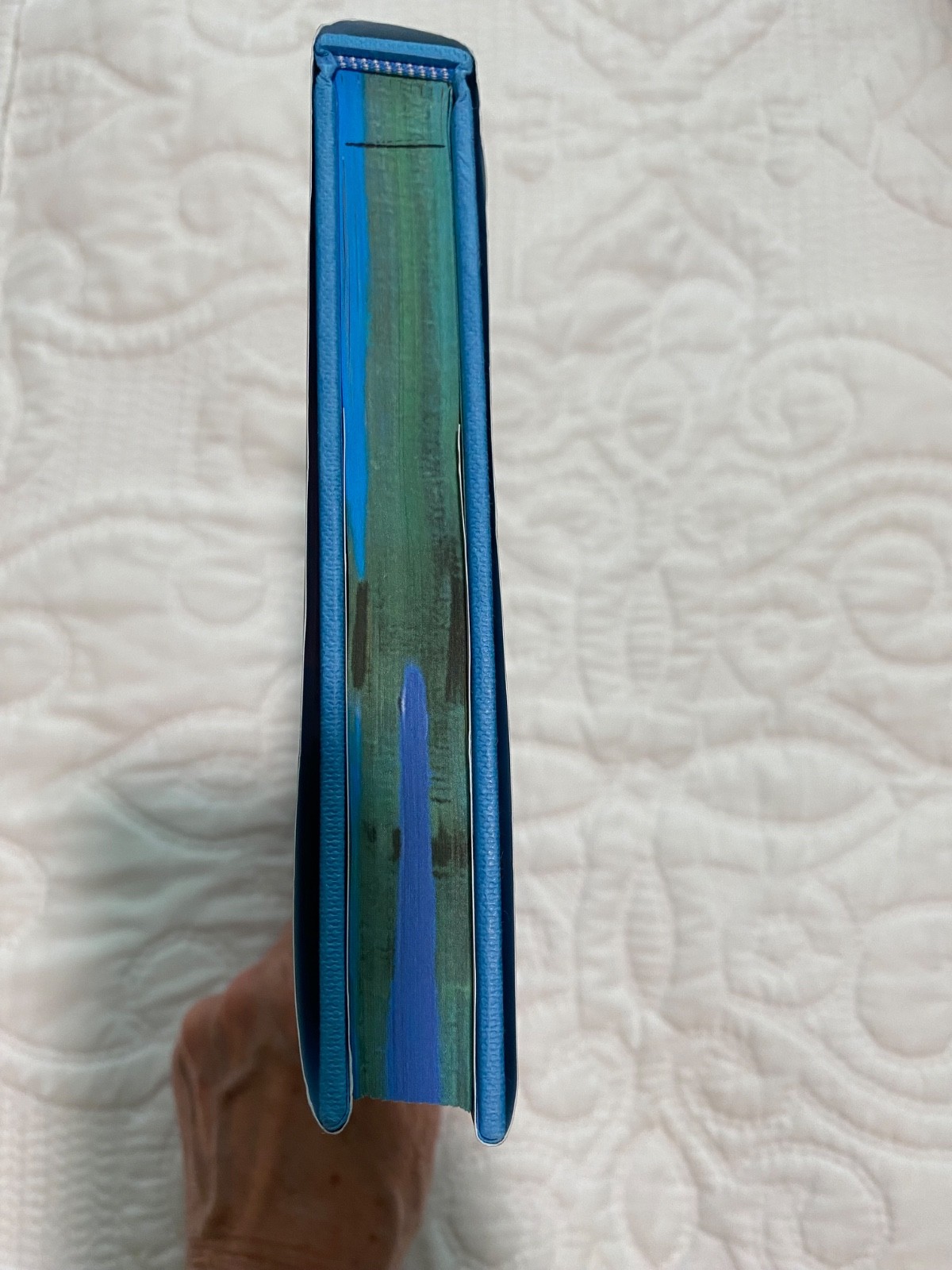 SPRAYED EDGE book – “Every Summer After” by Carley Fortune