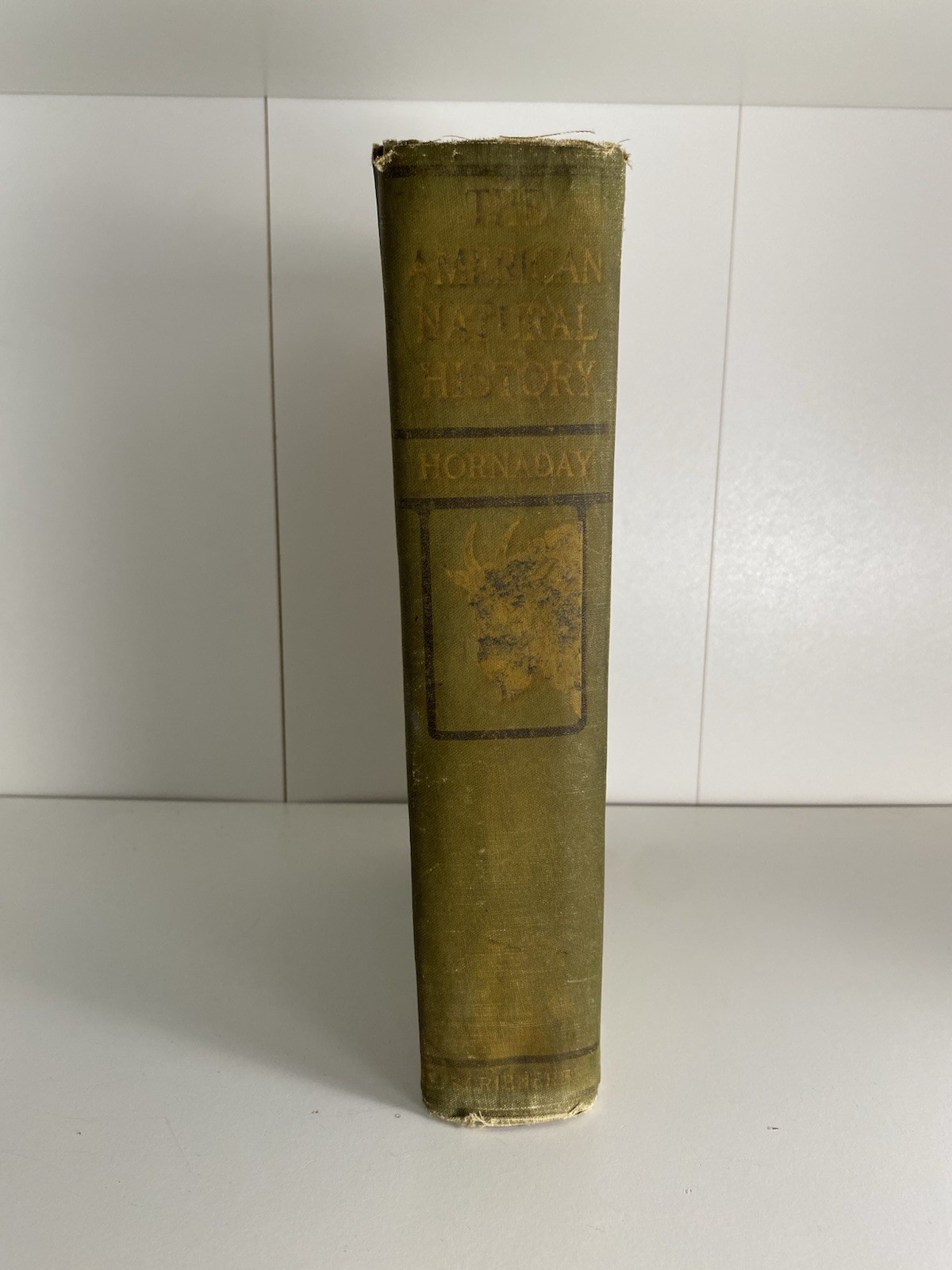 Antique Illustrated The American Natural History WT Hornaday 1912 Hardcover