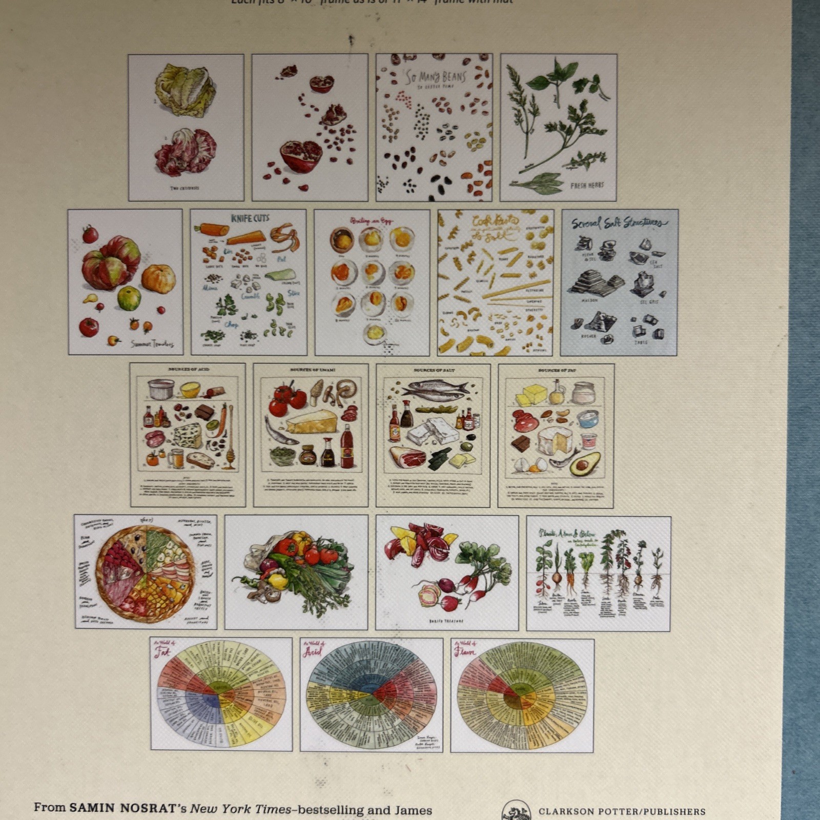 20 Prints 8×10” Illustrations Salt Fat Acid Heat By Samin Nosrat W MacNaughton