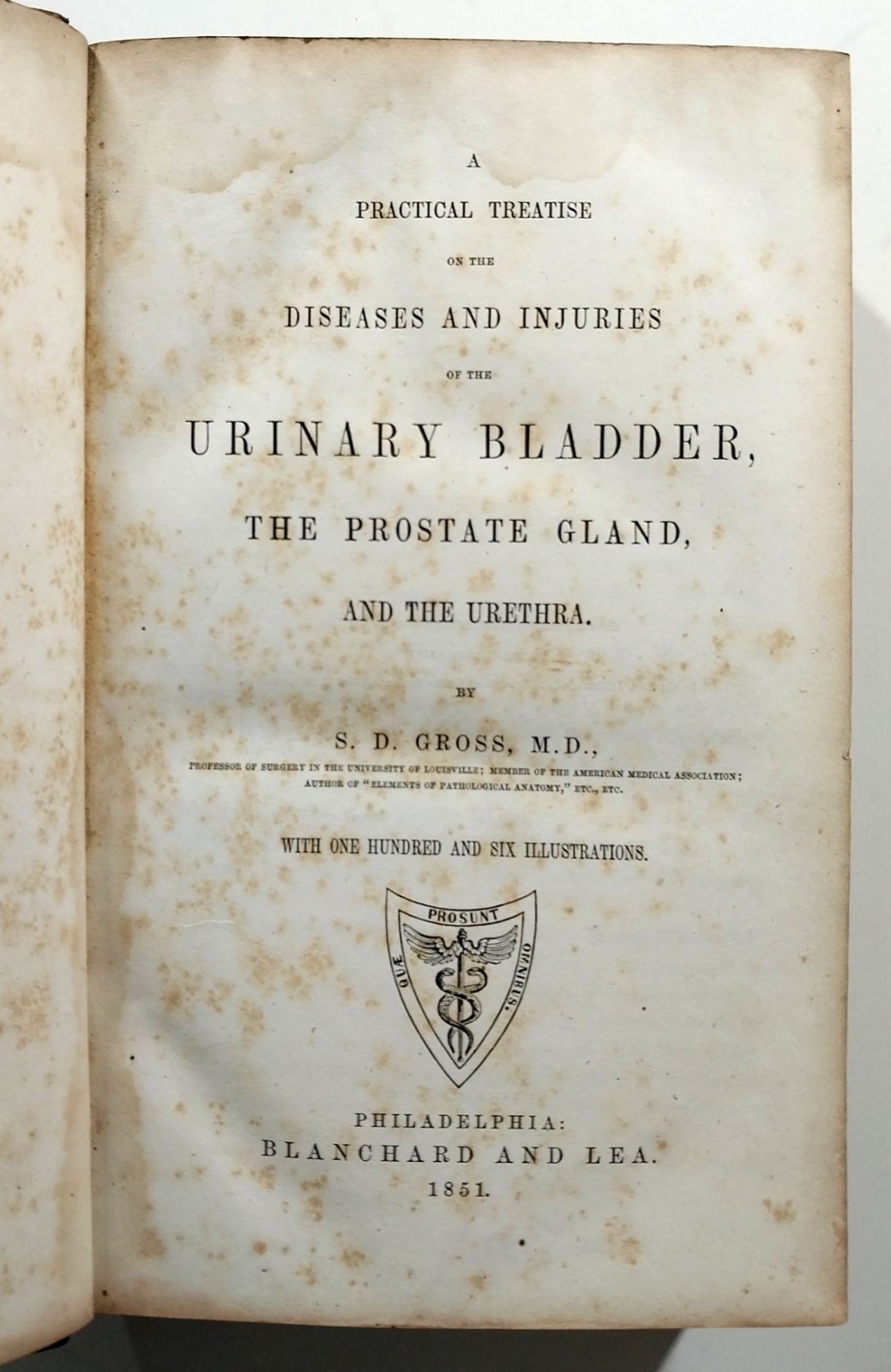 A Practical Treatise Diseases Injuries Urinary Bladder Prostate Gross 1851 HC