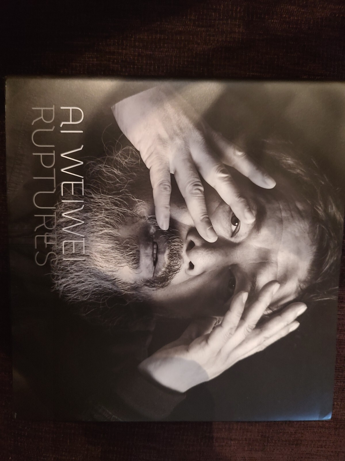 Ai WeiWei Ruptures (HC) 2015 -Rare- From Cancelled Danish Exhibition- VG