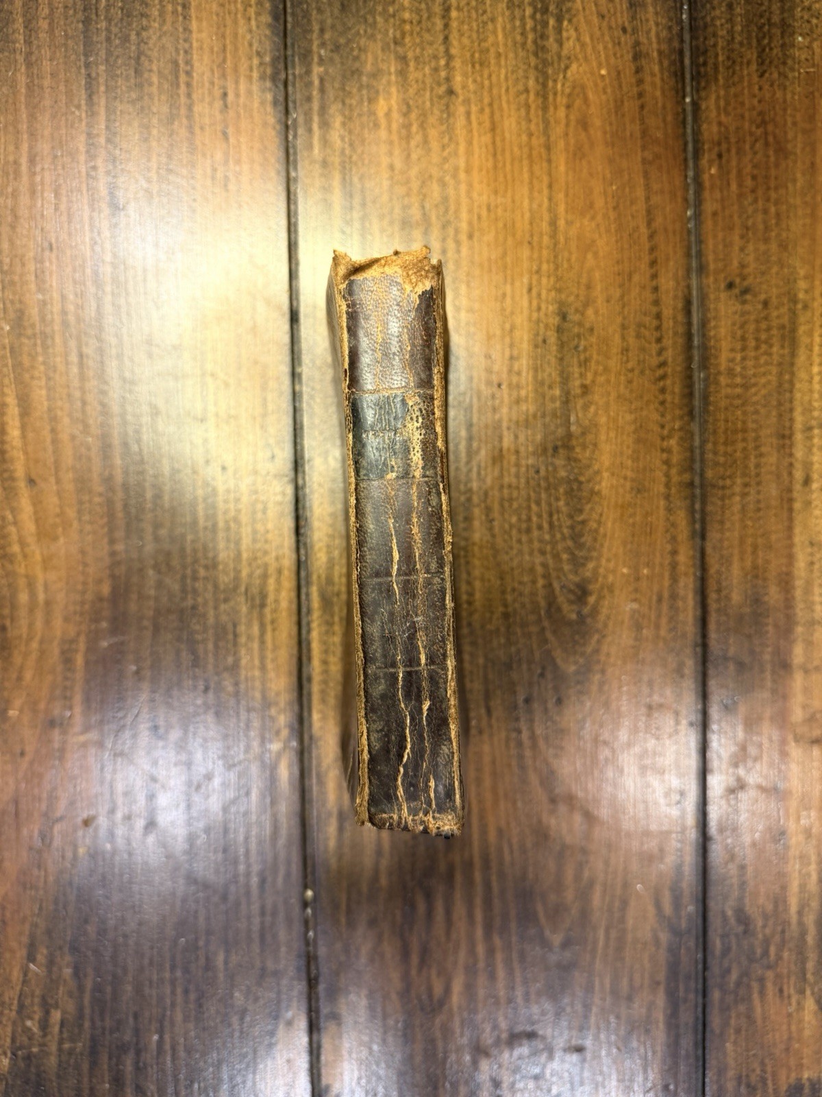 1845 Bible (New Testament) English/American