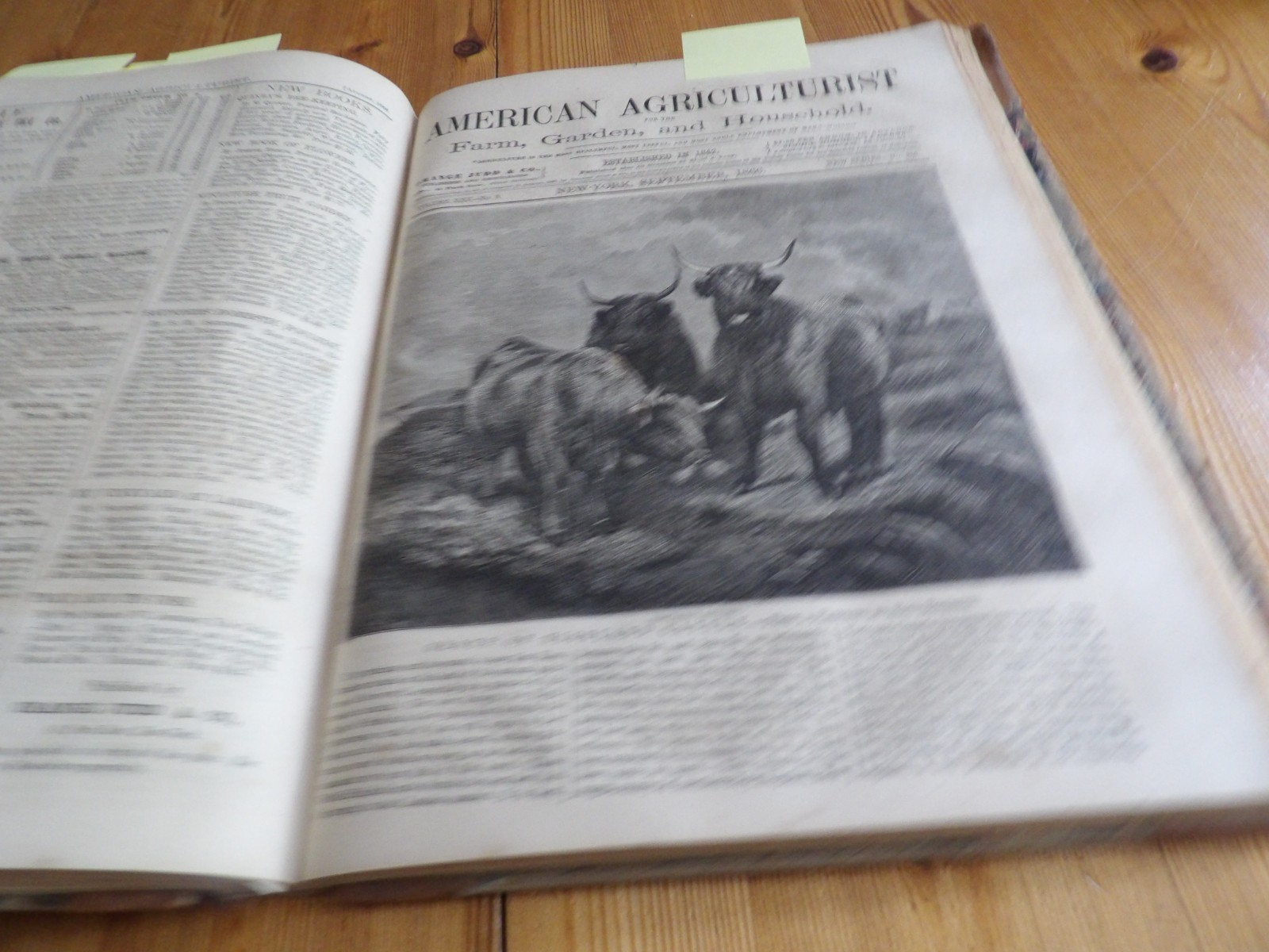 1866 Bound American Agriculturist Farm 12 issues, 452 pages Agriculture Ads