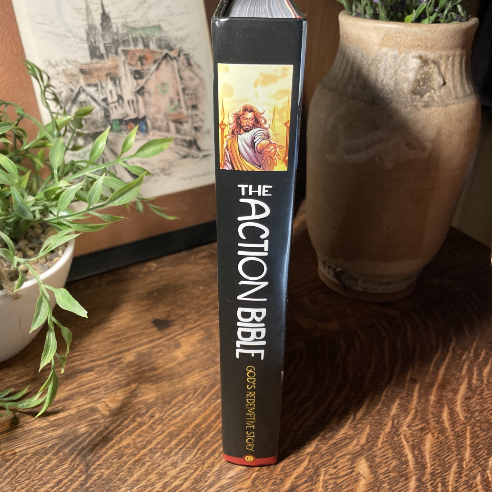 Action Bible : God’s Redemptive Story by Doug Mauss (2010, Hardcover)