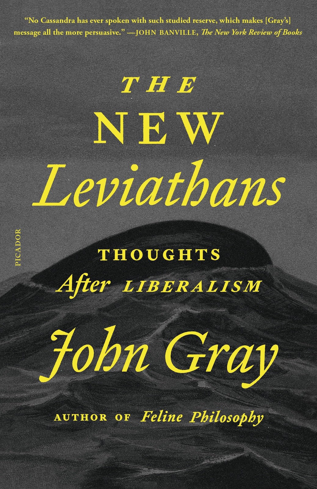 The New Leviathans – paperback Gray, John