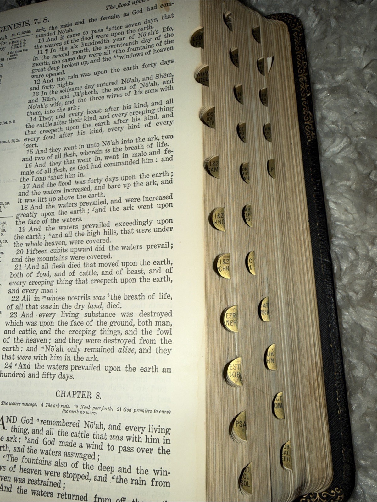 THE HOLY BIBLE, CONTAINING THE OLD AND NEW TESTAMENTS LEATHER BOUND INDEXED RARE