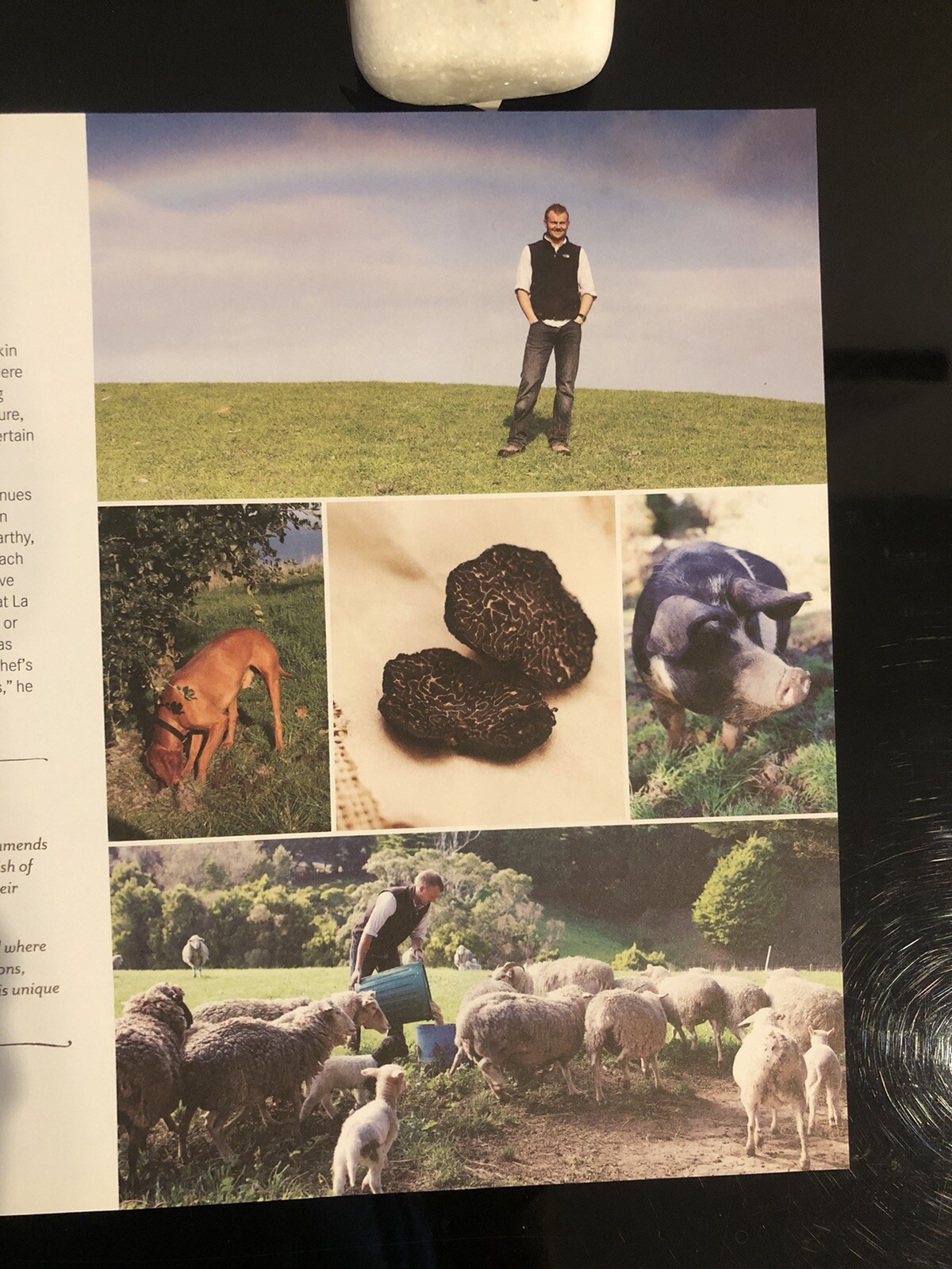 🇦🇺Signed Copy Seasonal Regional Made In Victoria Sarah Robins 2012 First Ed.