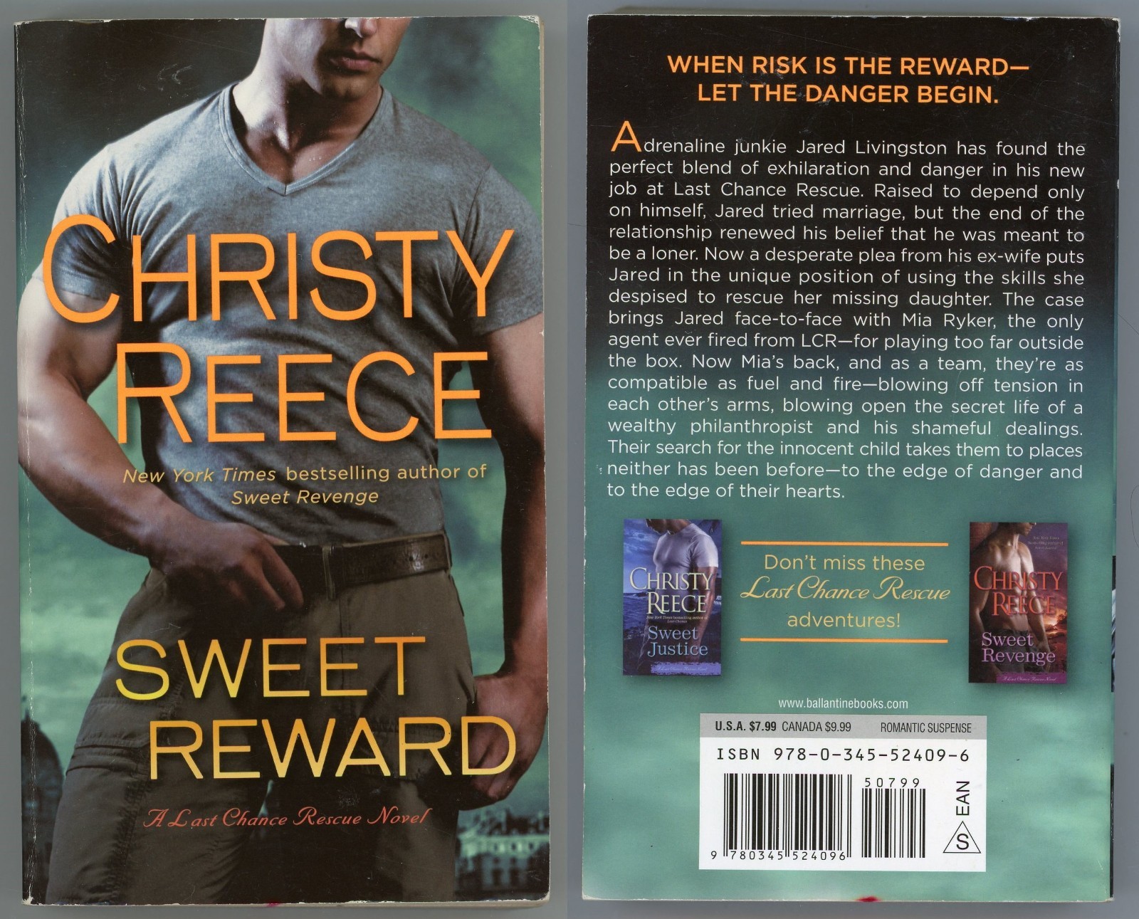 Last Chance Rescue Sensual Romance Lot of 6 Paperback by Christy Reece
