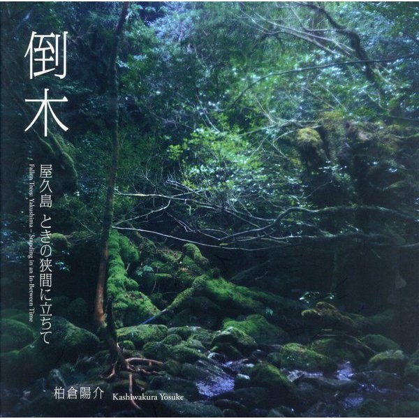 Fallen Tree Yakushima Standing In The Middle Of A Long Time Japanese Book