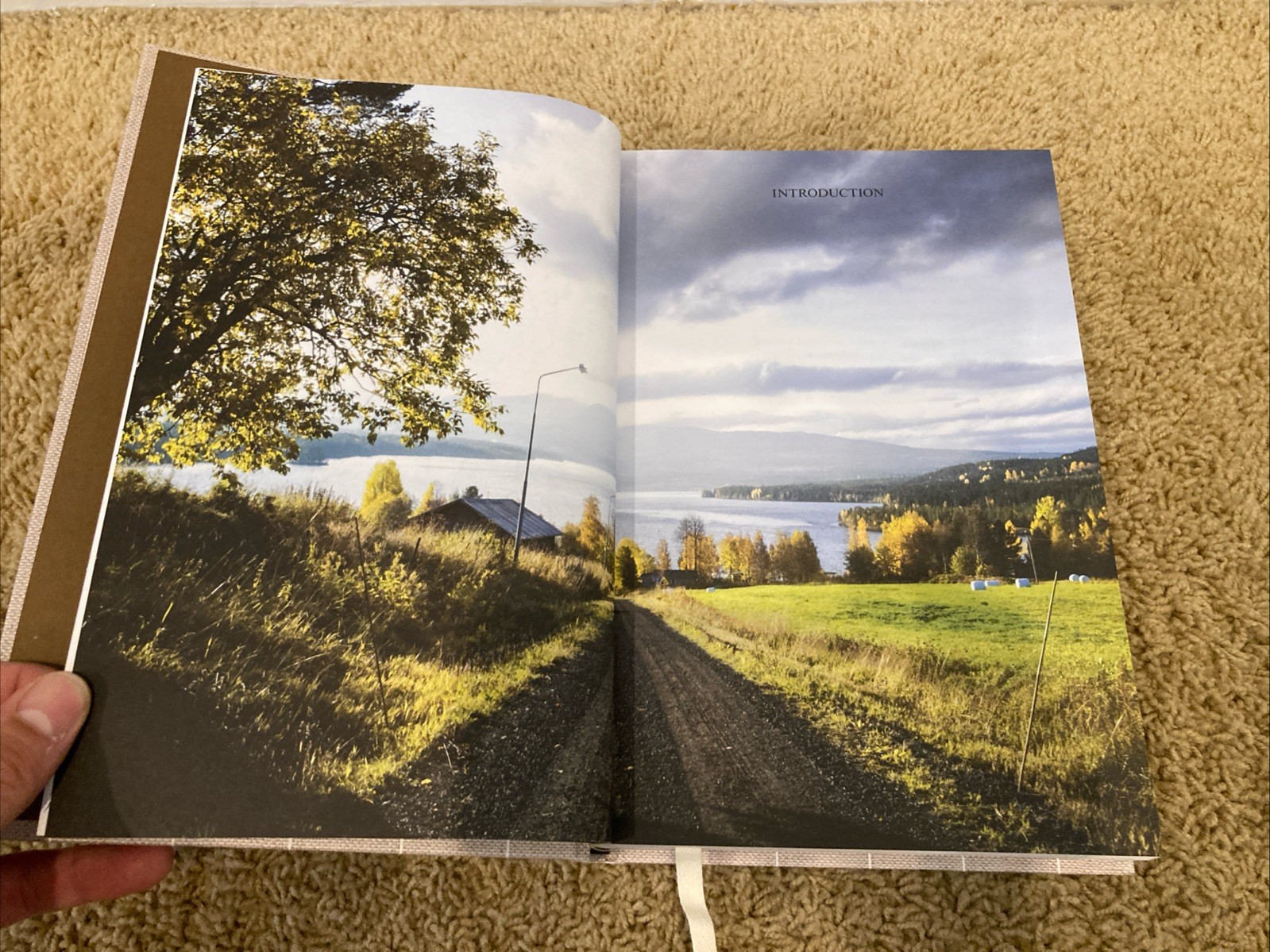 The Nordic Baking Book