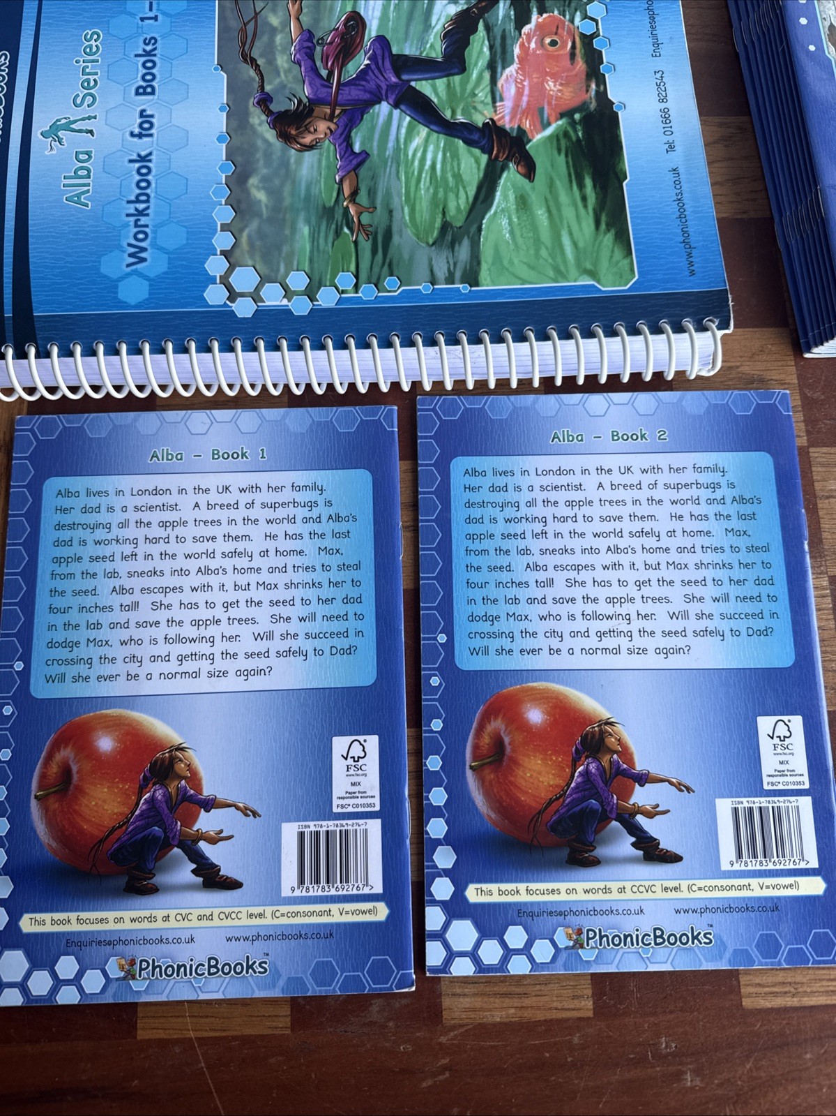 Phonic BOOK LOT: Alba Series Workbook With Books 1-12 Used Missing 1 Book