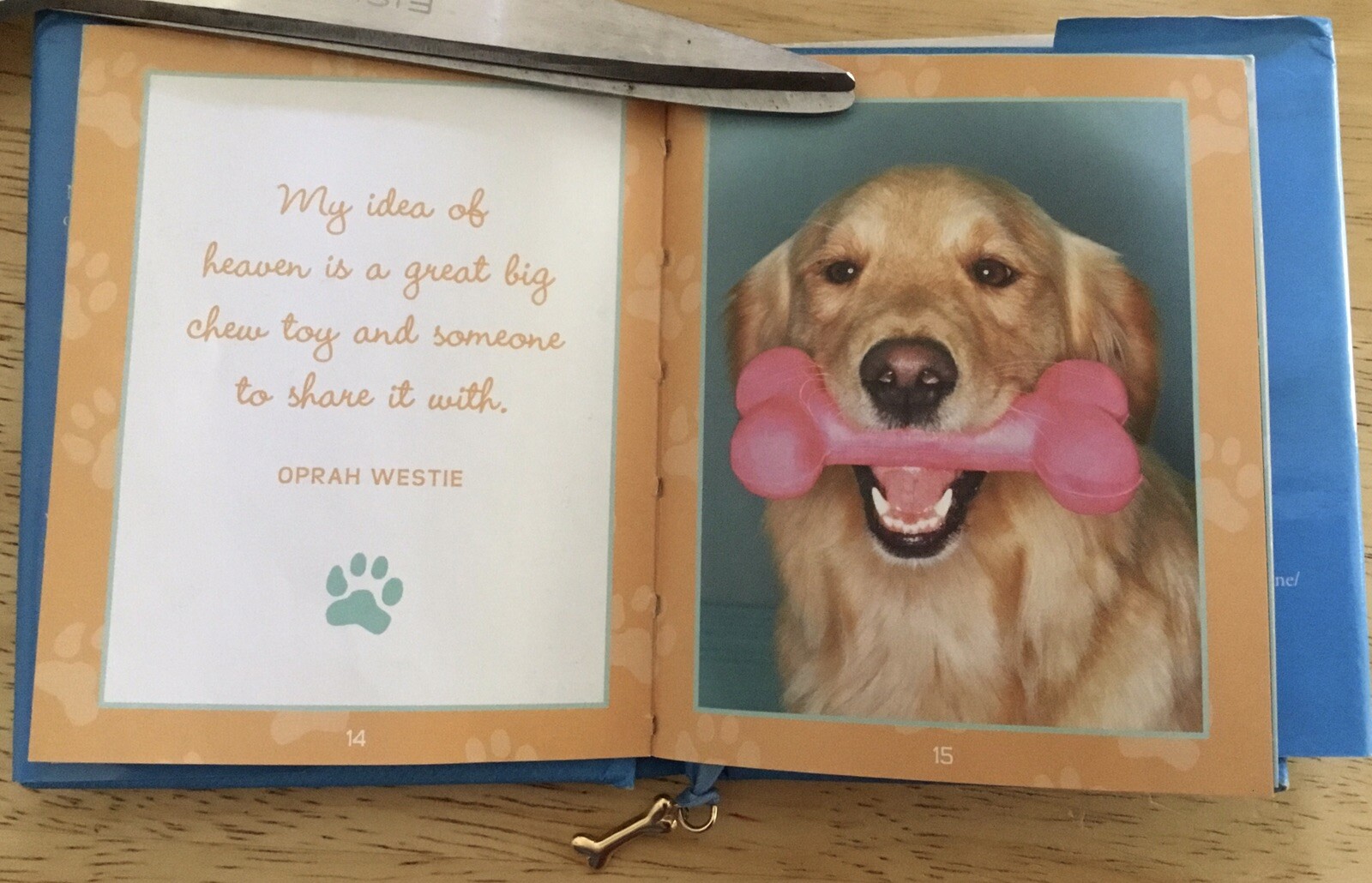 Charming Petite Ser.: Puppy Love : Musings from the Doghouse of Life (2006,…