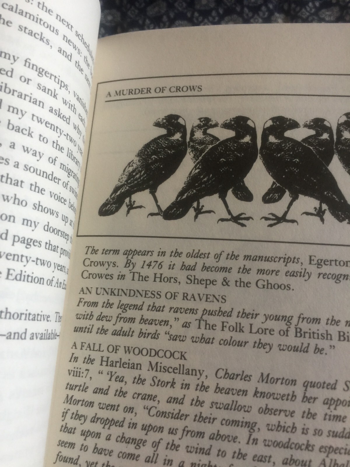 An Exaltation of Larks: The Ultimate Edition – Illustrated 336 pages