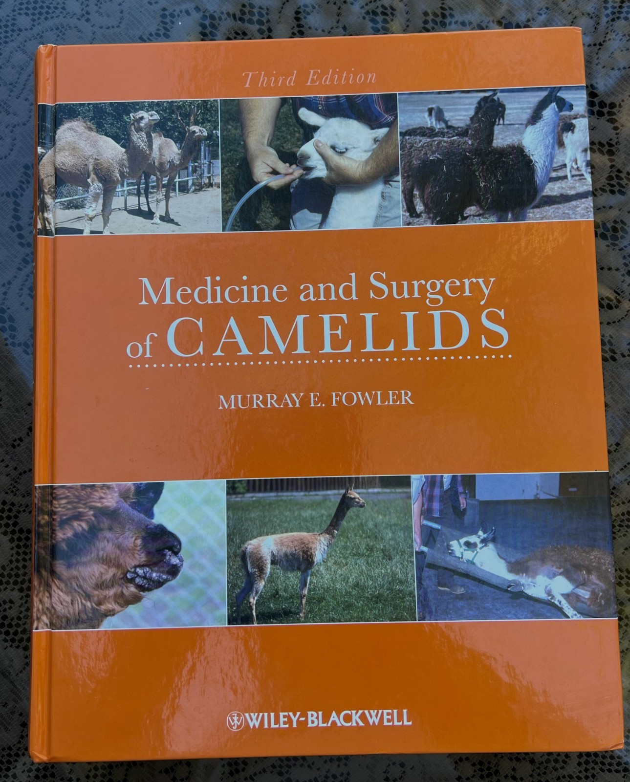 Medicine and Surgery of Camelids by Murray Fowler (2010, Hardcover) Like New !