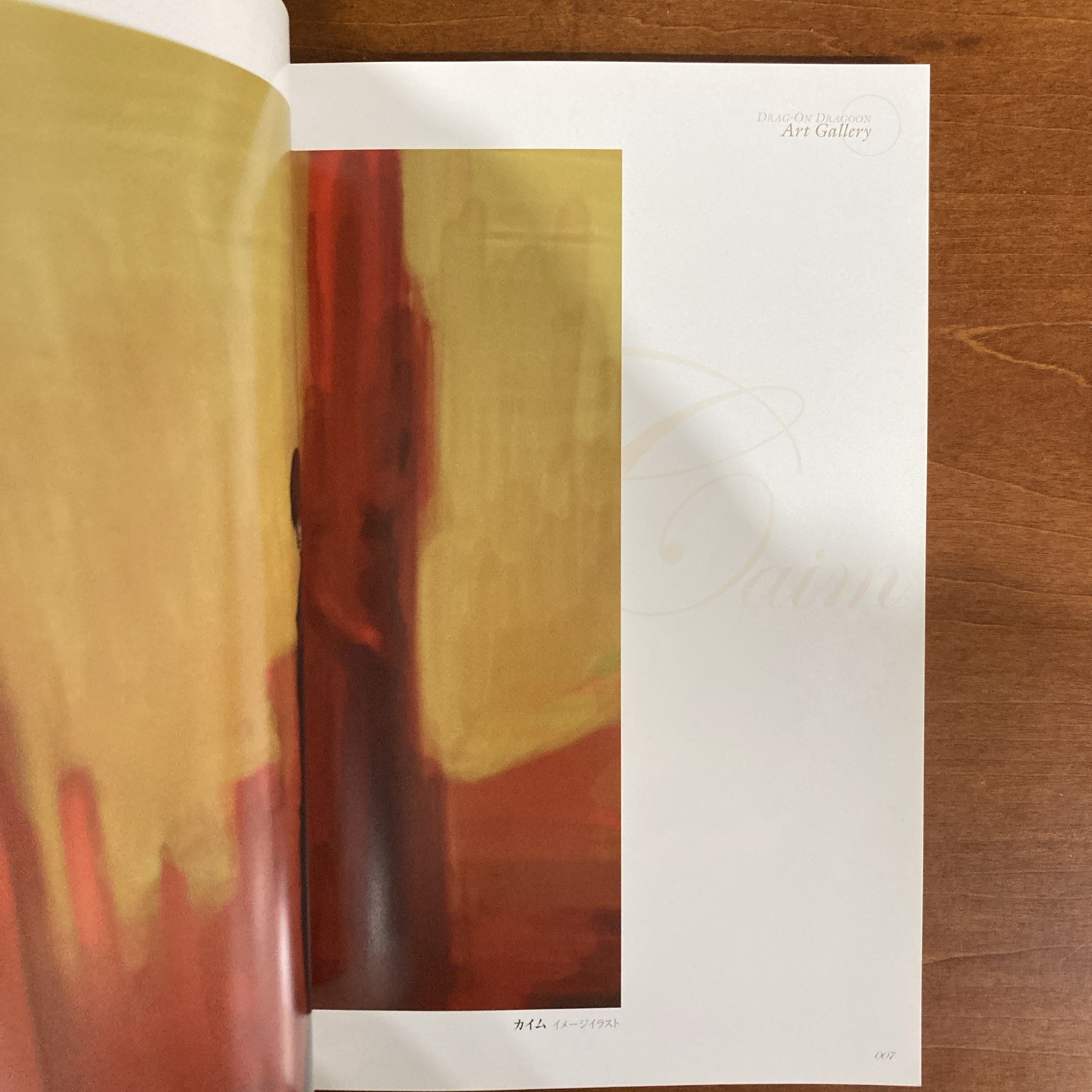 Drag-on Dragoon Art BookThe Materials Illustration