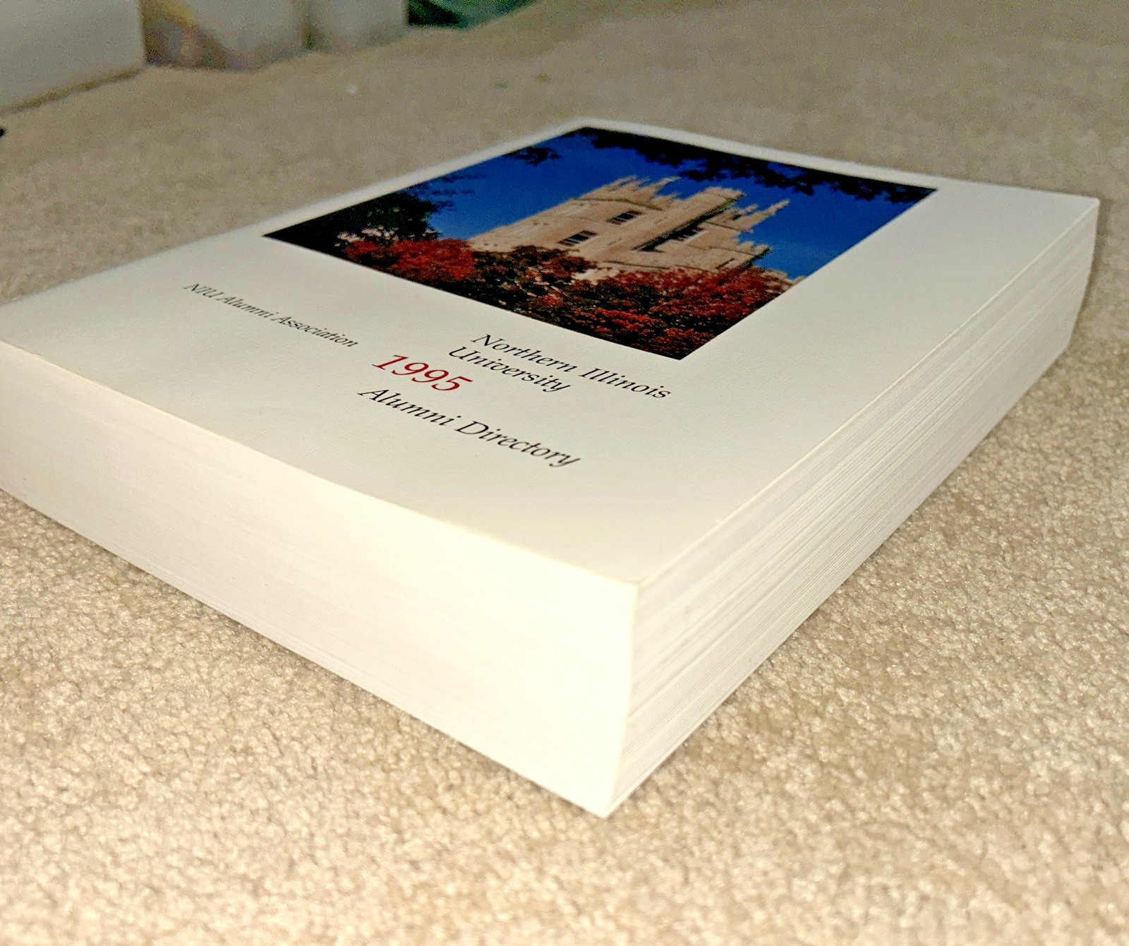 1995 NORTHERN ILLINOIS UNIVERSITY Alumni Directory 1376 pages HOMER SIMPSON