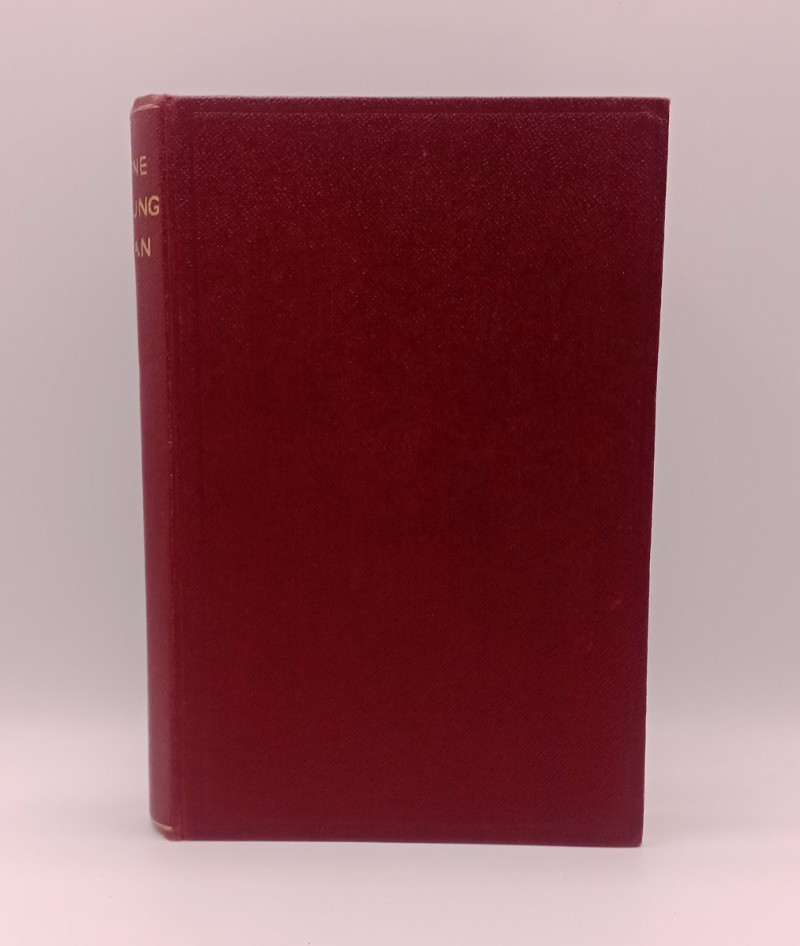 One Young Man Hodder Williams First Great World War 1 WW1 Somme Western Front