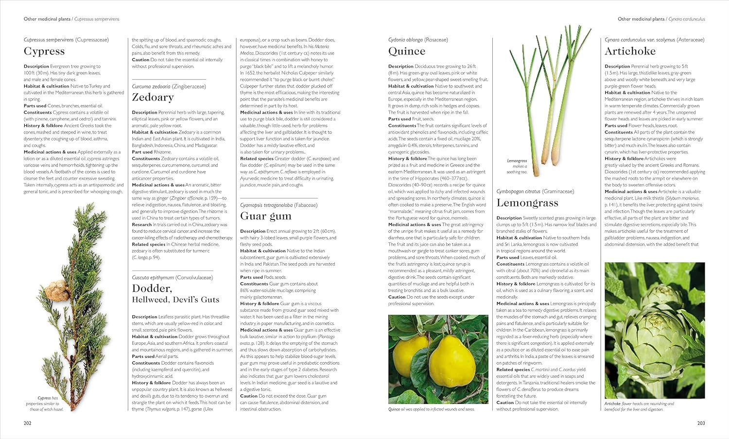 Encyclopedia of Herbal Medicine New Edition: 560 Herbs and Remedies for Common A