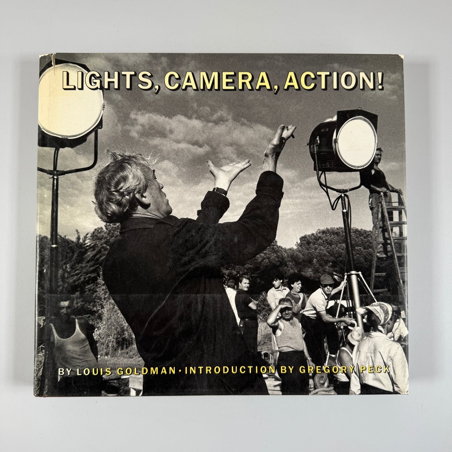 Lights, Camera, Action! Louis Goldman 1986 Illustrated Film Photography Abrams