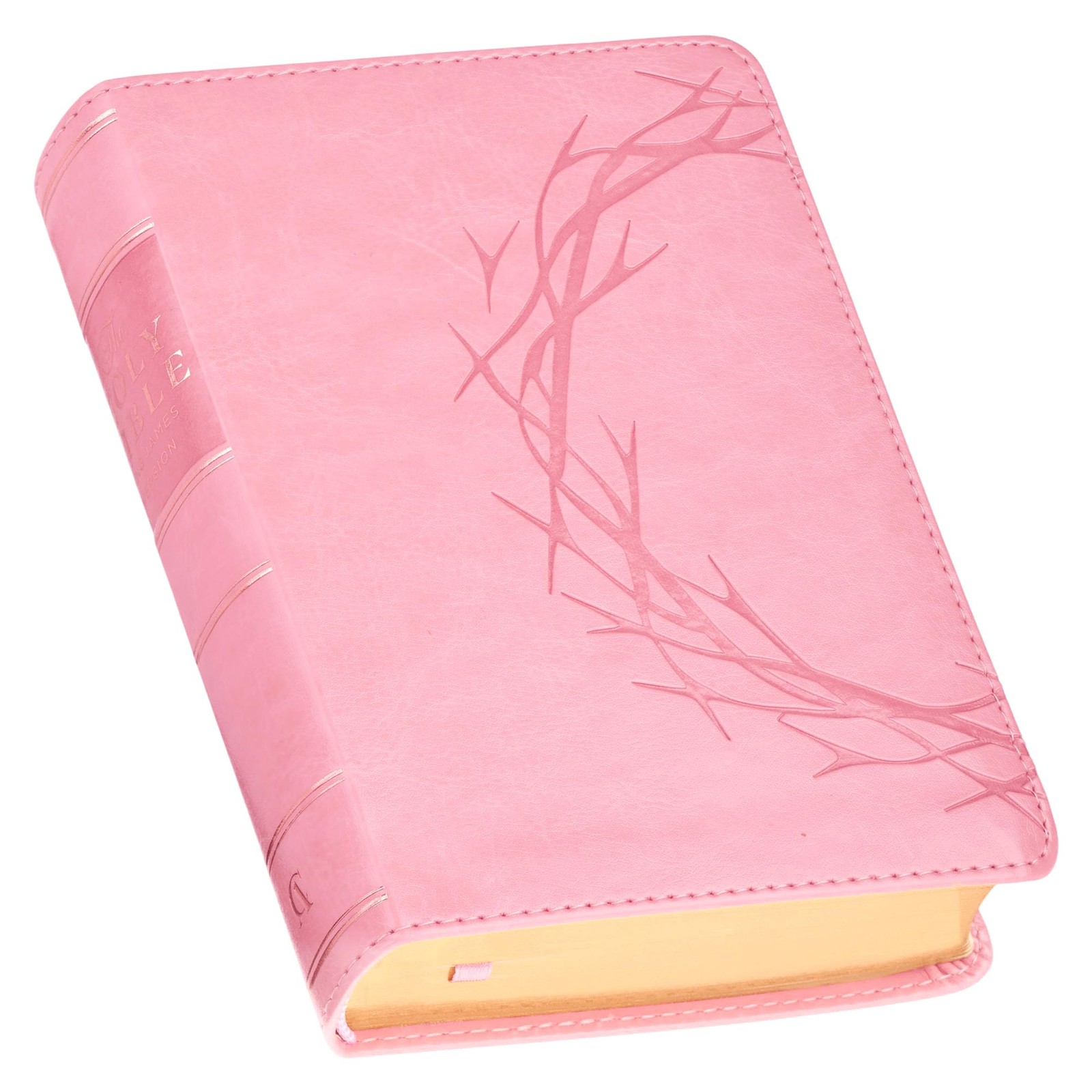 KJV Holy Bible, Compact Large Print Vegan Leather Red Letter Edition -…