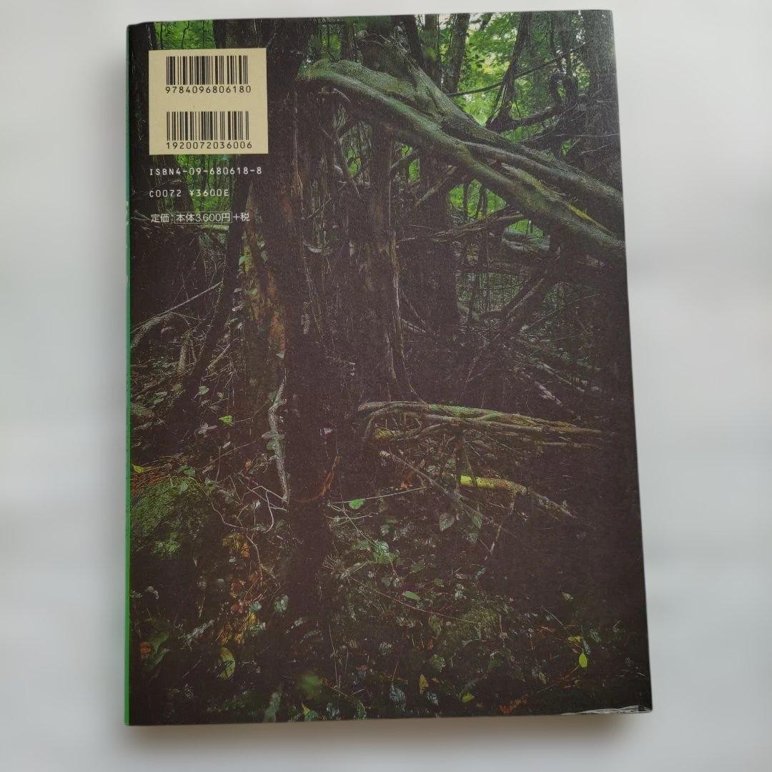 World Heritage Site Yakushima Kazuyoshi Miyoshi Photo Collection From Japan