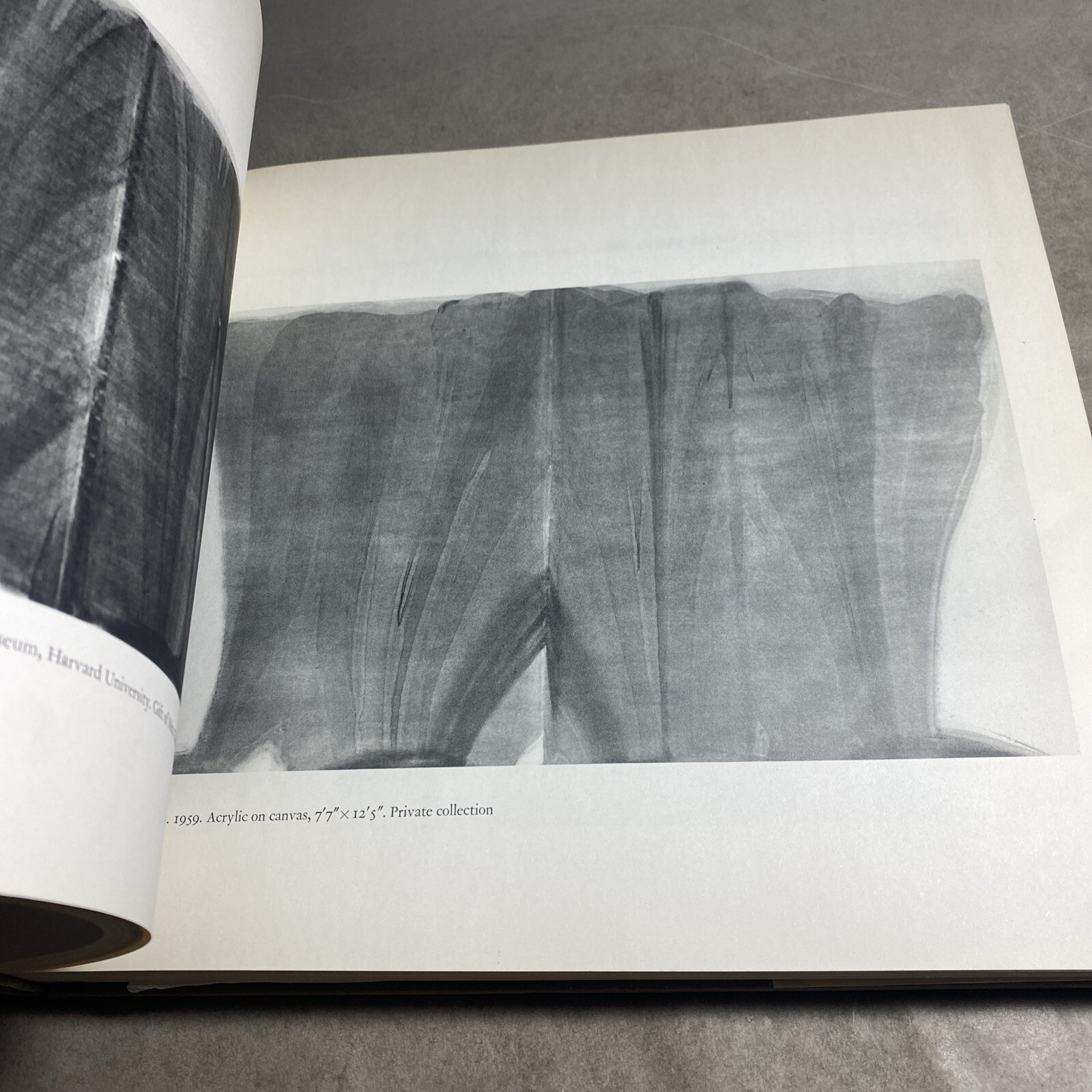 Artist Monograph: (Abrams) Morris Louis, Michael Fried, Hardcover / MSR