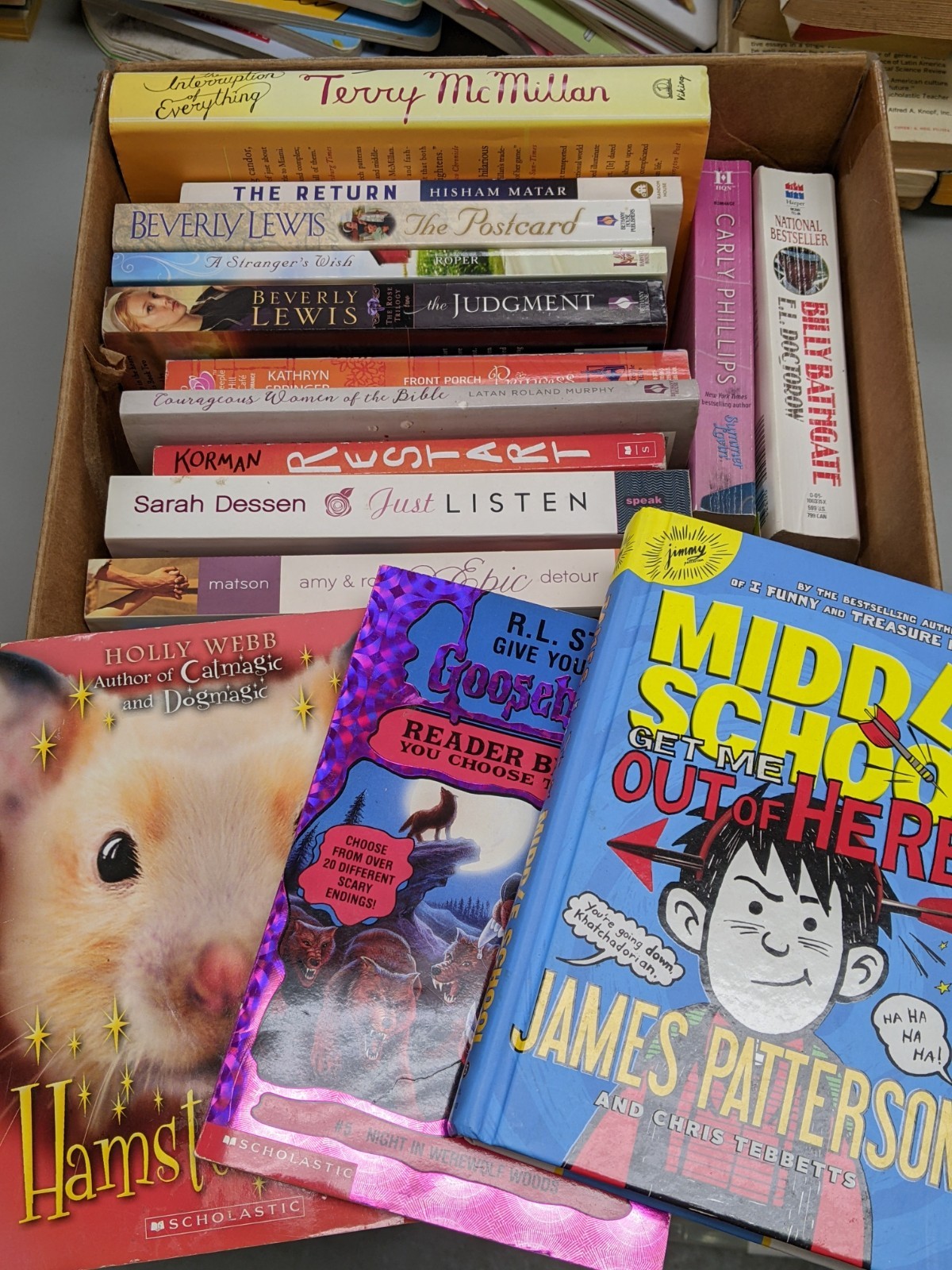 15 Pounds of Various Very Good Condition Books to Stock Little Free Library LFL