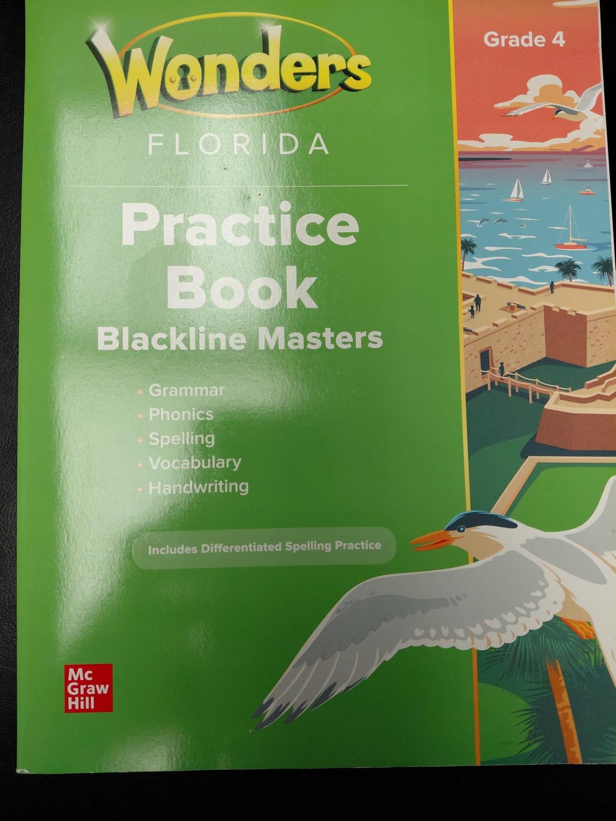 McGraw Hill Wonders Florida Grade 4 Practice Book, Blackline Masters, Grammar, P