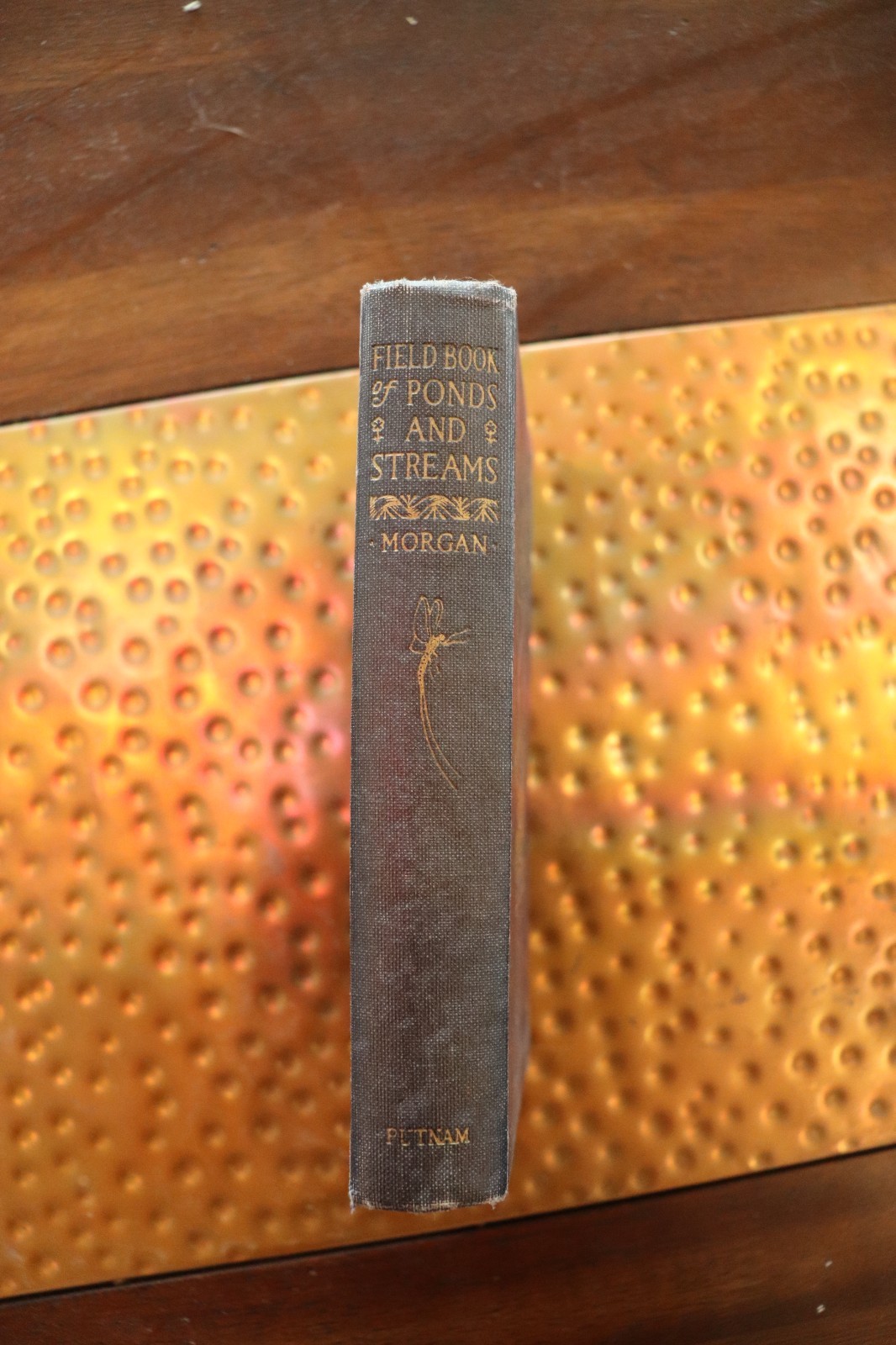 Field Book Of Ponds And Streams – 1930, Ann Haven Morgan, Illustrated, Putnam