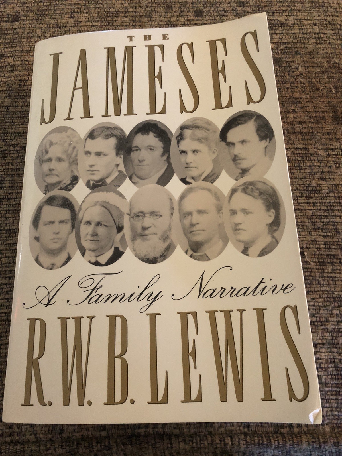 R. W. B. Lewis THE JAMESES A Family Narrative 1991 1st/1st PB Farrar Straus Giro