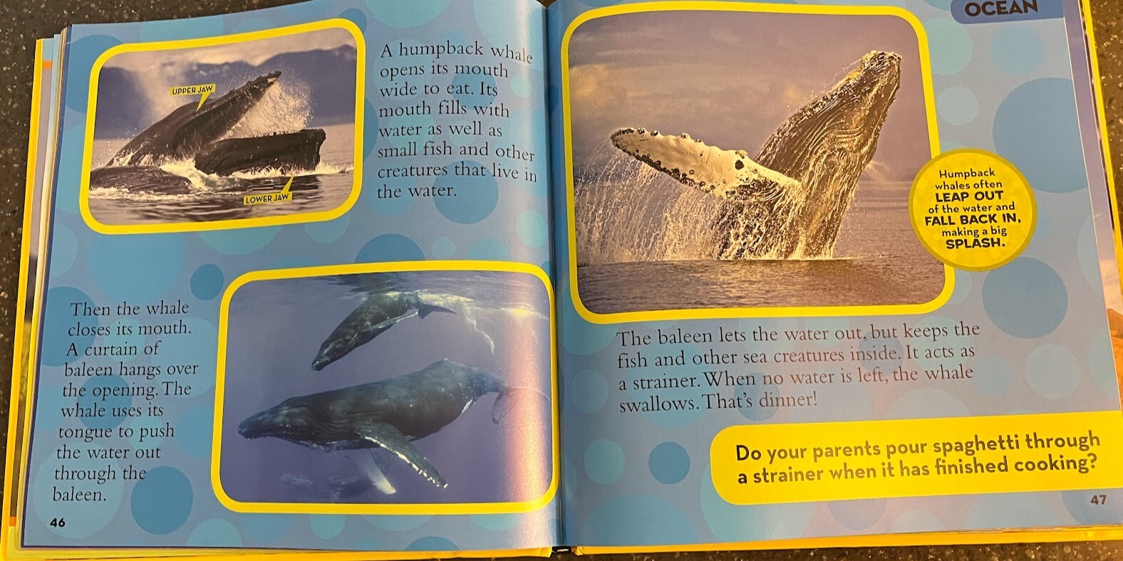 Catherine D. Hughes Little Kids First Big Book of Animals Hardback bool