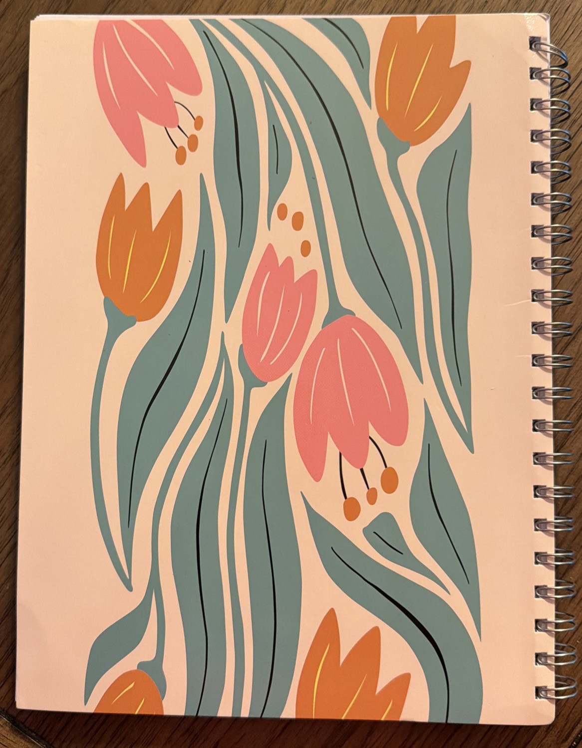 New – The Bible in a Year: 52-Week Journey Through God’s Word, Spiral Bound