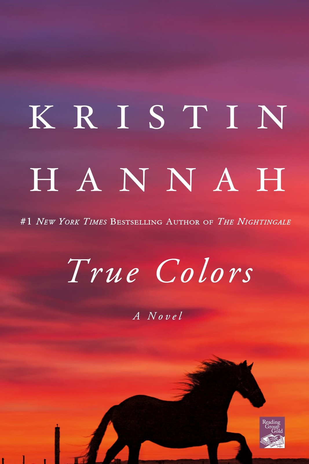 True Colors: A Novel – paperback Hannah, Kristin