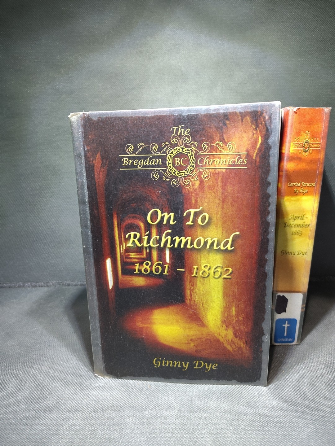 THE BREGDAN CHRONICLES Vol 1-6 By Ginny Dye Ex Library