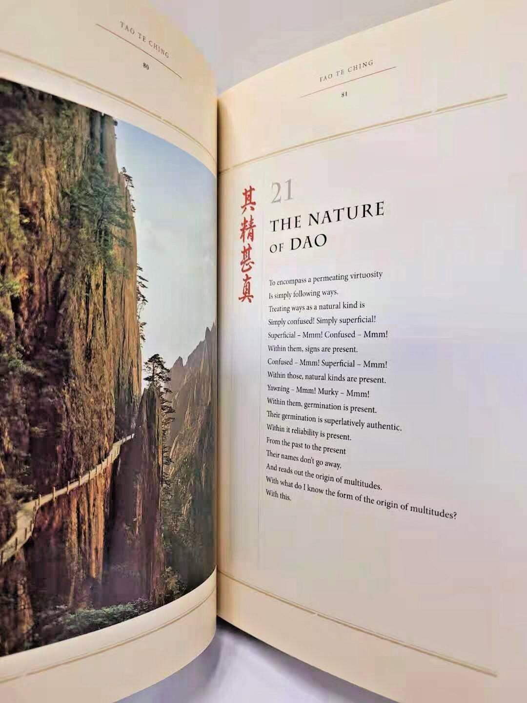TAO TE CHING by LAOZI Deluxe Silk Bound Hardcover Illustrated Edition Brand NEW