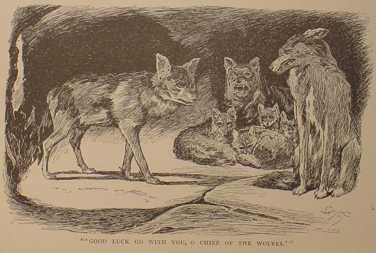 1894 Rare THE JUNGLE BOOK Antique FIRST EDITION Rudyard Kipling 3RD PRINTING
