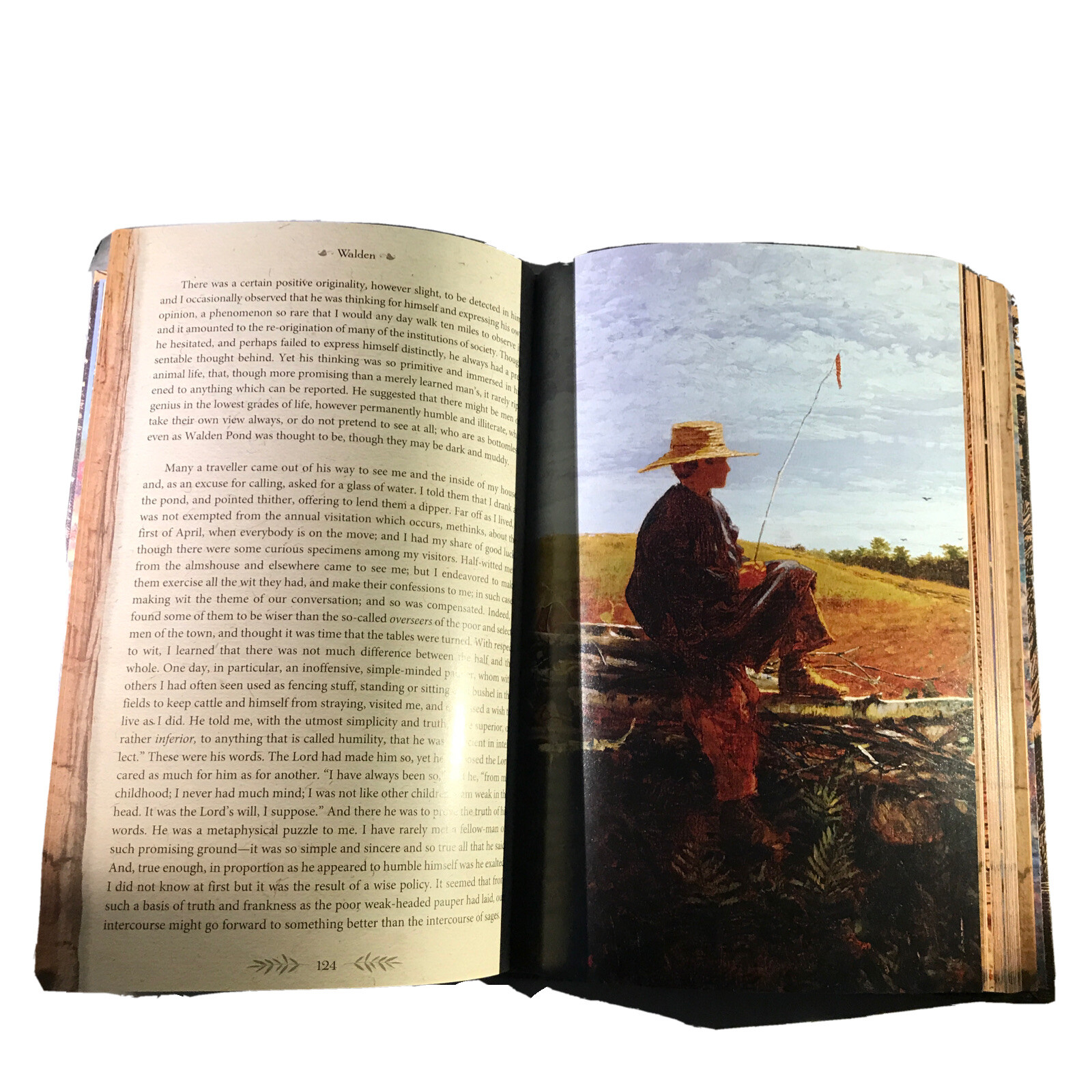 ❤️THE ILLUSTRATED WALDEN or LIIFE IN THE WOODS Henry David Thoreau NEW Hardcover