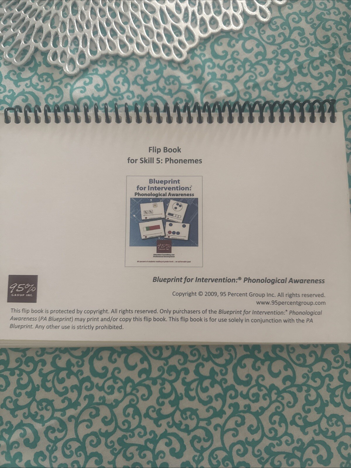 95% Group Flip Book For Skill 5: Phonemes (set Of 5)