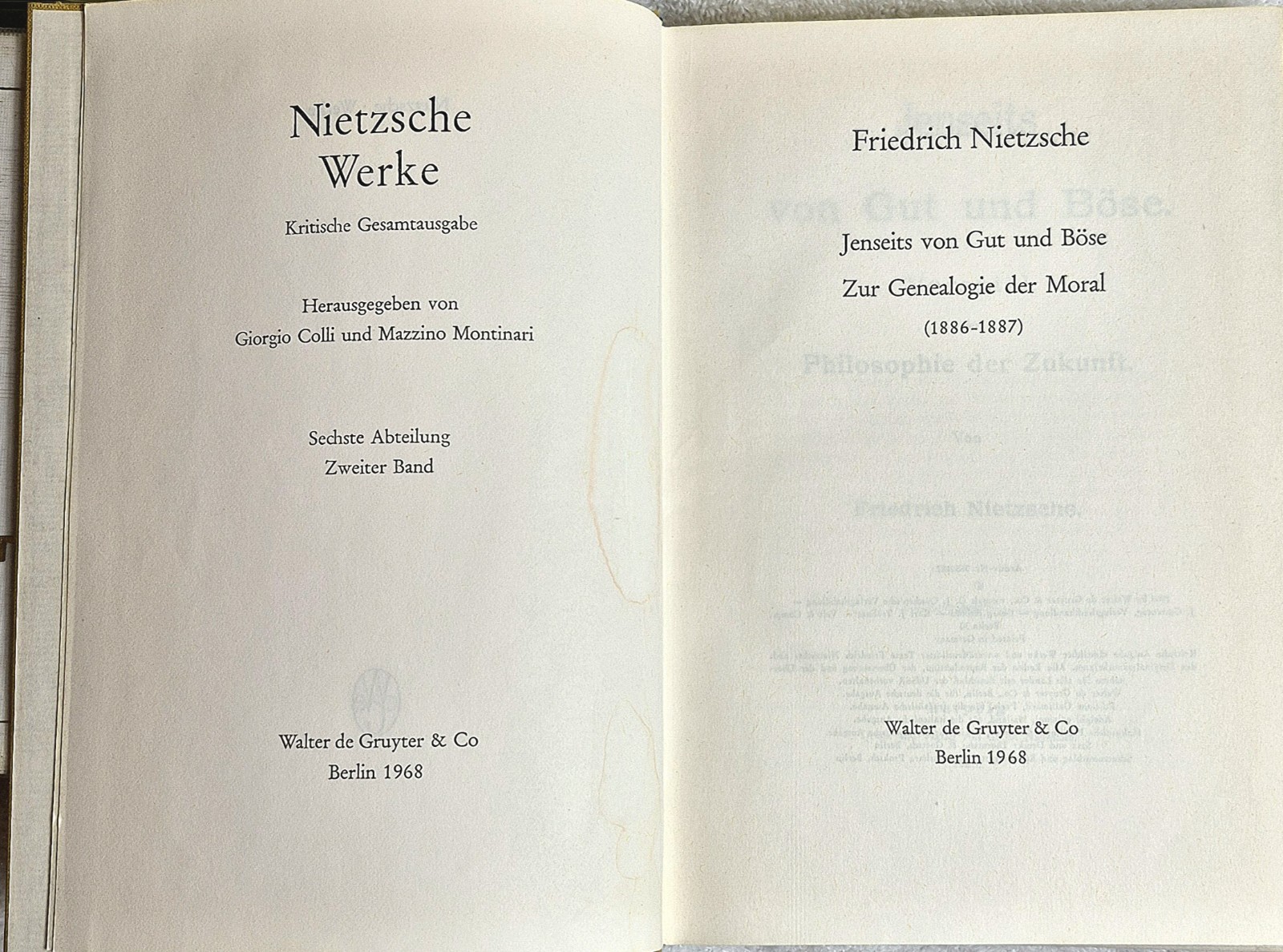 Nietzsche Werke • Jenseits & Genealogie ( Vol. 2 • de Gruyter 1968) • VG