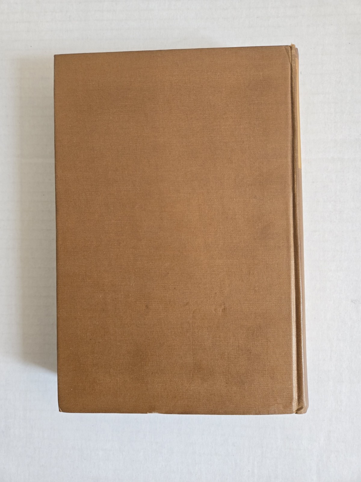 The New World of Islam by Lothrop Stoddard 1921 HC 1st Edition Chapman and Hall